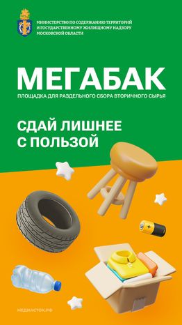 Обложка Мегабак_вертикаль 01