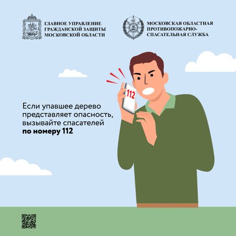 Аварийные деревья_Квадрат-10.jpg