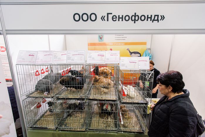 Стенд агропромышленного предприятия ООО «Генофонд» на выставке «Золотая осень-2025» в Москве