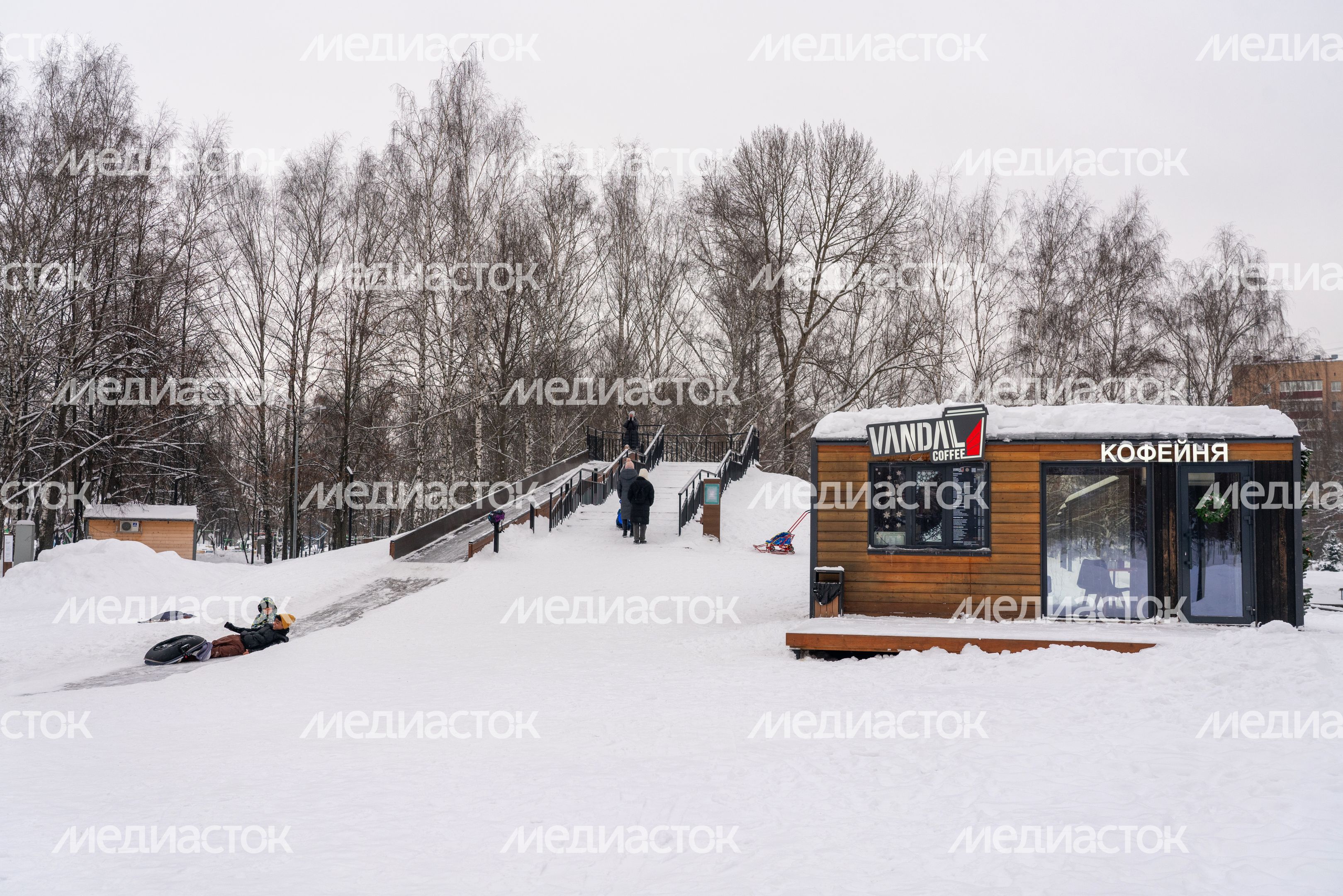 Зима в городском парке культуры и отдыха в Долгопрудном Зима в городском парке культуры и отдыха в Долгопрудном
