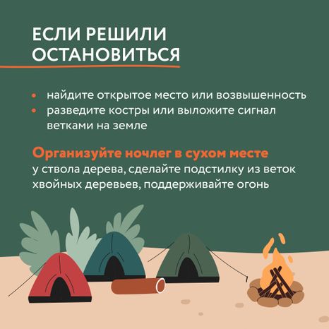 Как не потеряться в лесу