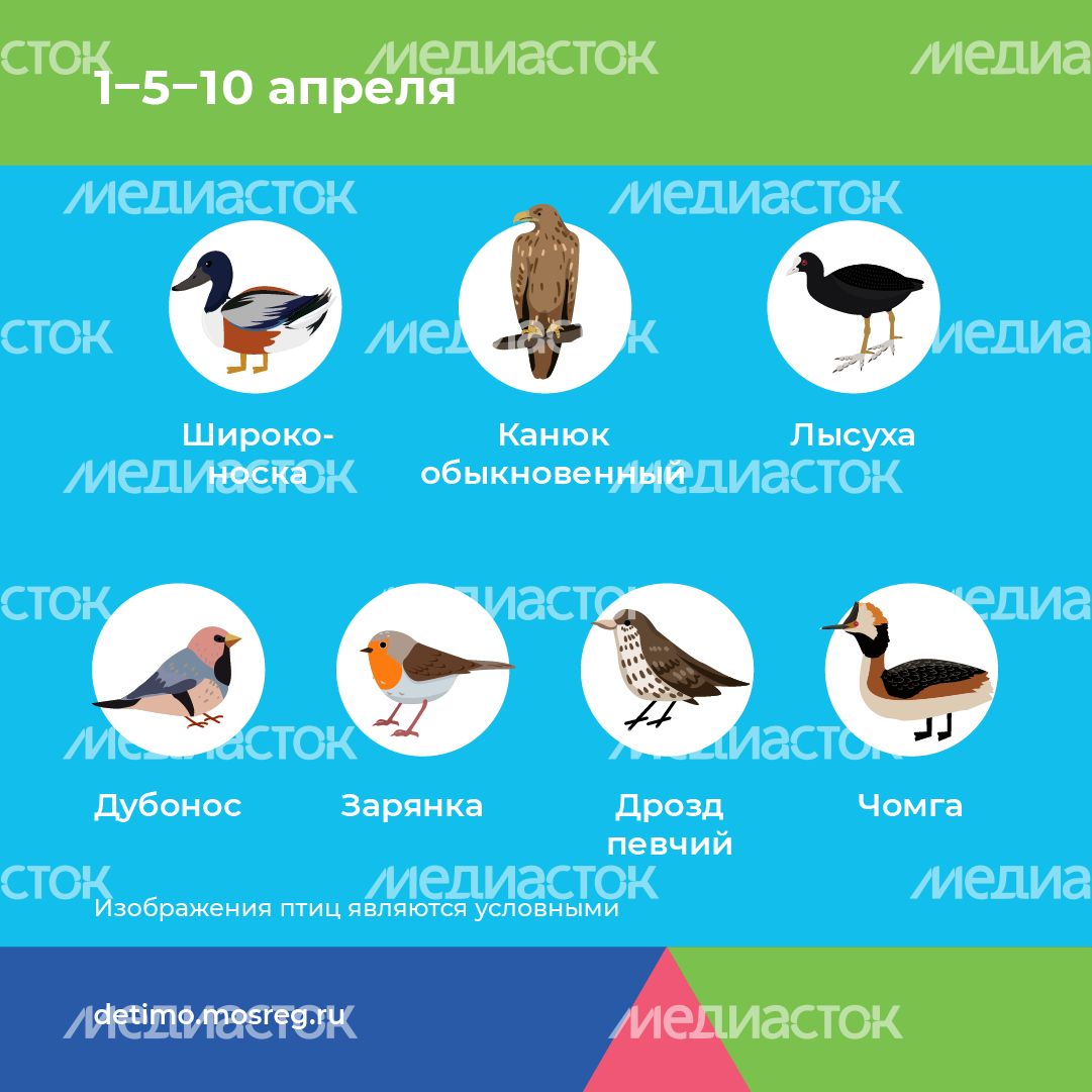 весна летит - квадрат - 05