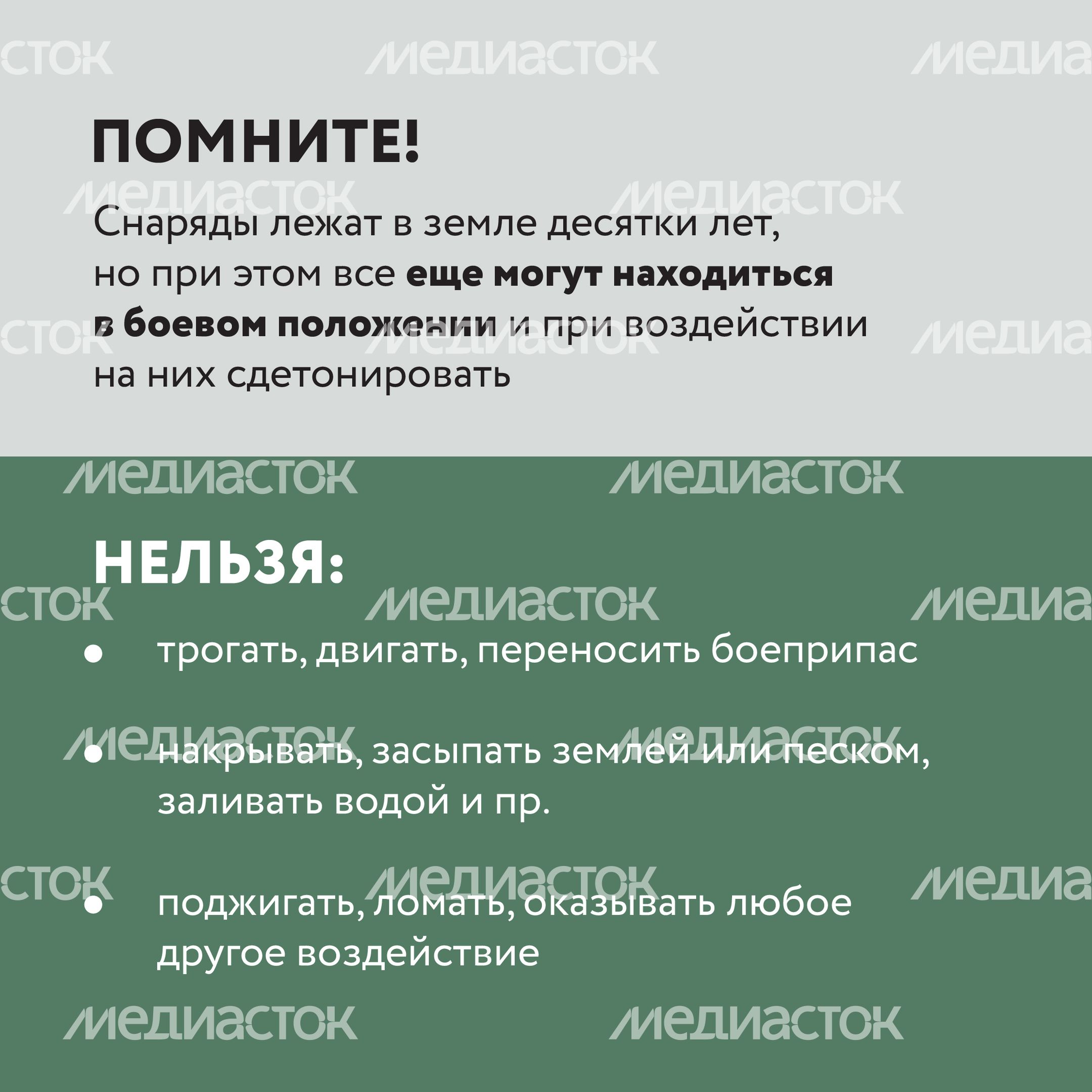 Подозрительный предмет в лесу-13