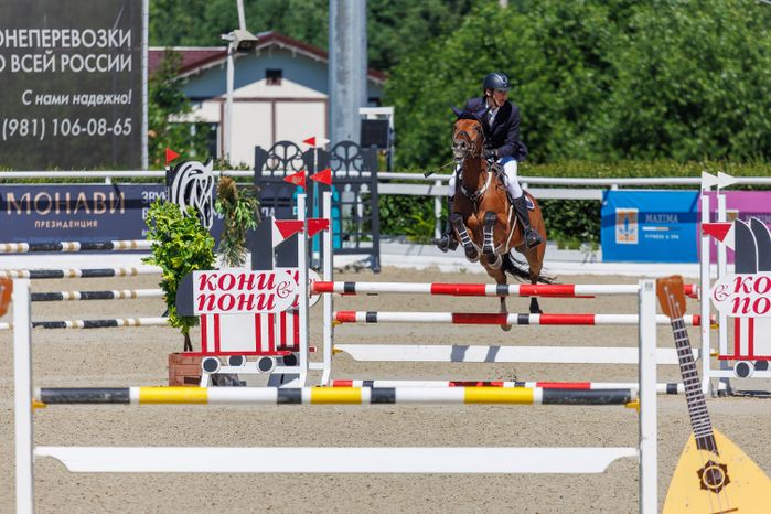 Конноспортивные Евразийские игры по конкуру 2026 в Maxima Park Дмитровского округа