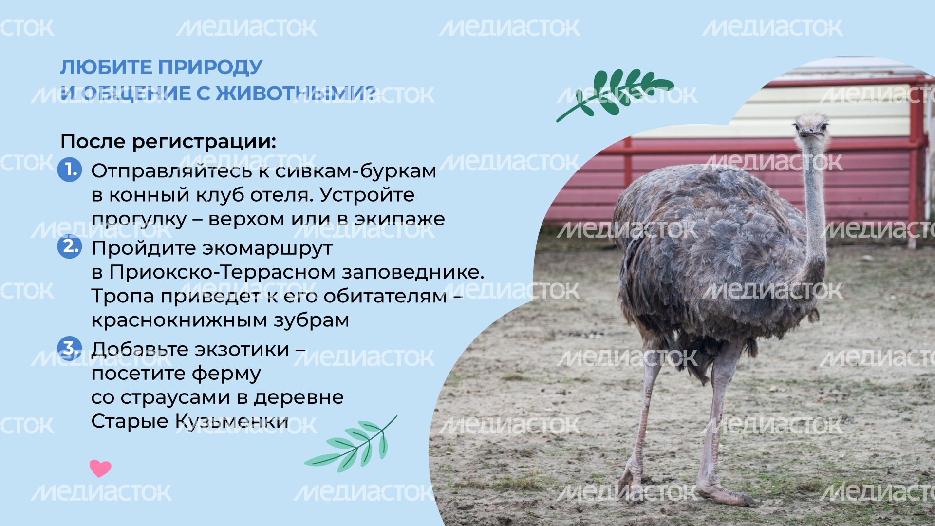 Петрухино-клуб-горизонталь-04