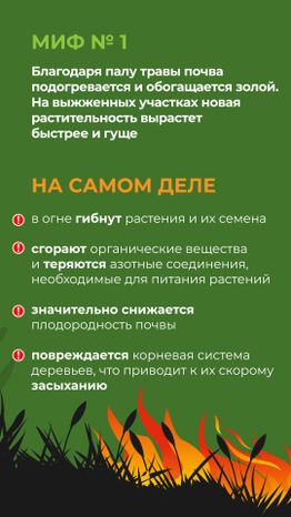 комлесхоз_пал_верт_2.jpg