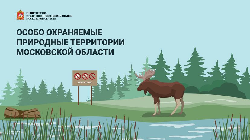 Обложки