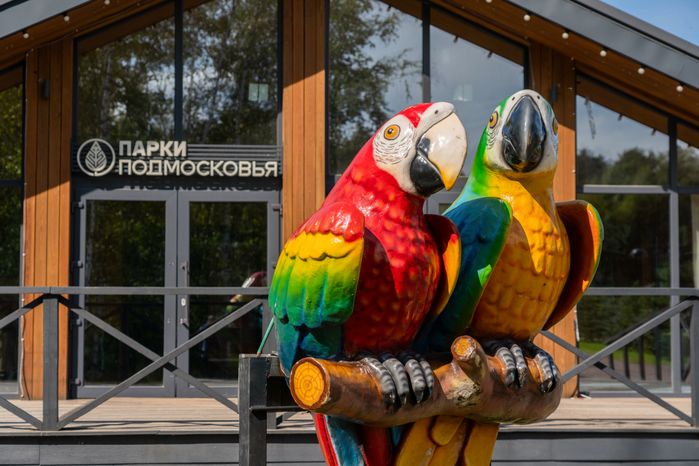 Лобненский лесопарк летом 2026 года