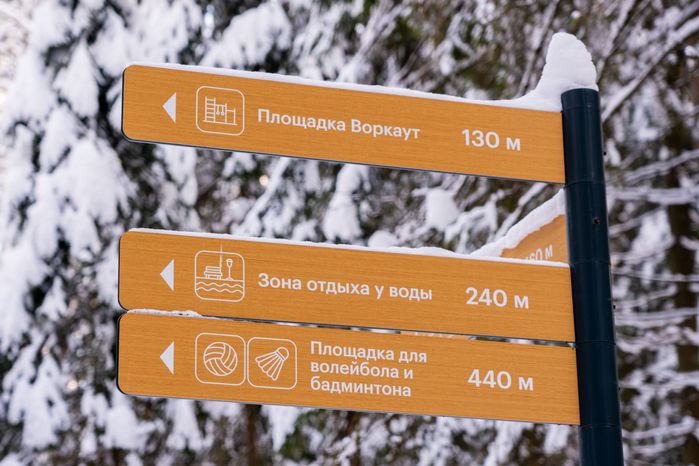 Зима в лесопарке «Масловский лес» Одинцовского округа