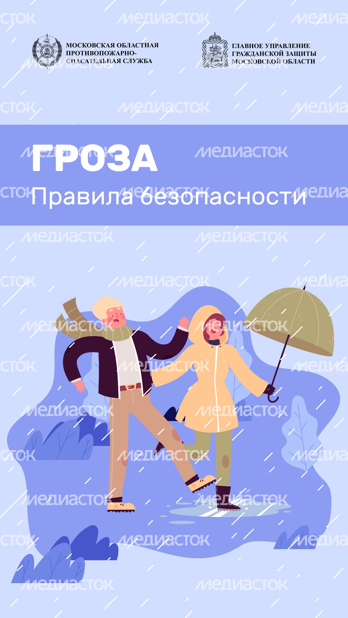 вертикаль гроза 01.jpg