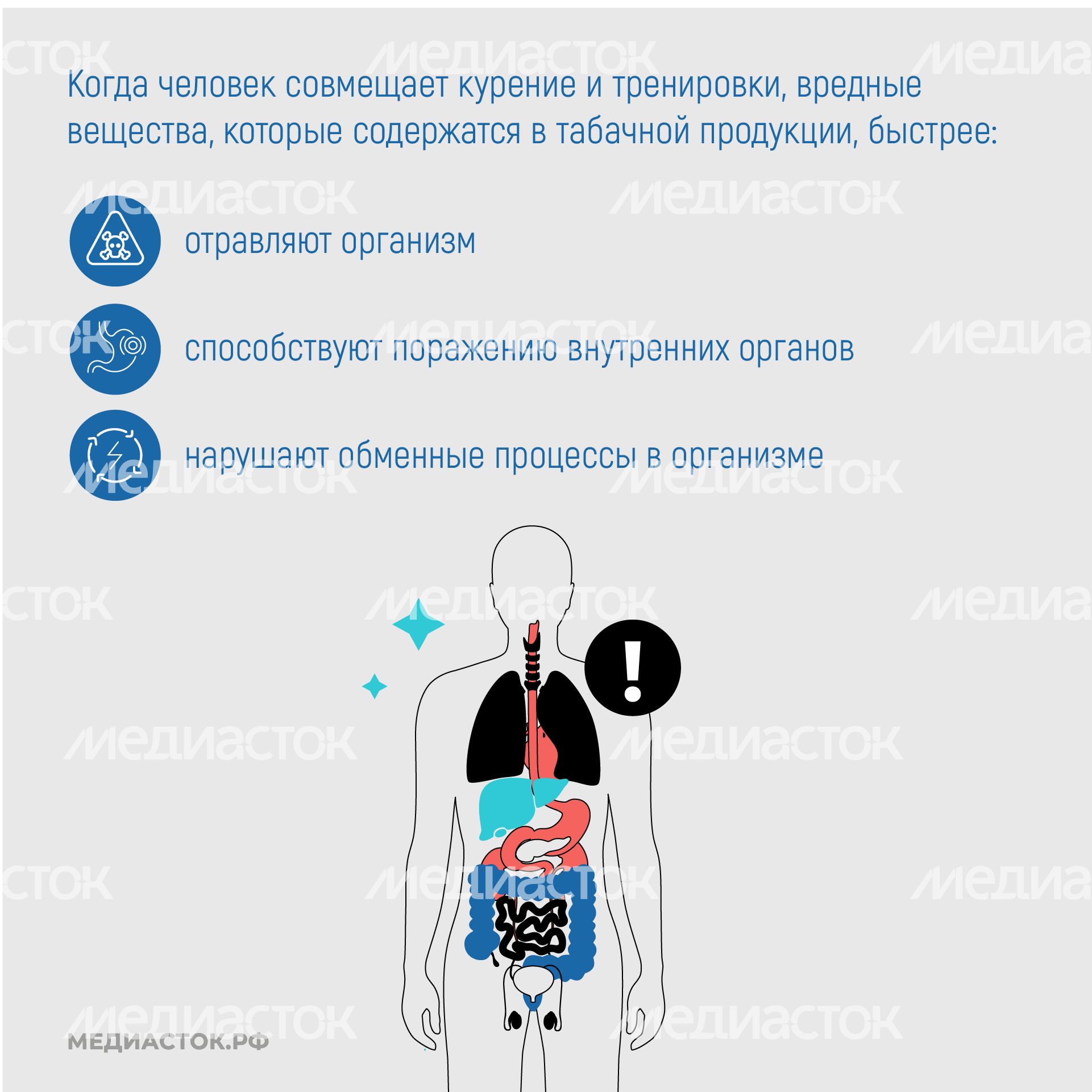 ЗОЖ квадрат 08 ЗОЖ квадрат 08