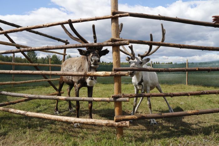 Фестиваль этно-культуры «Дыхание Севера» в Сергиево-Посадском районе
