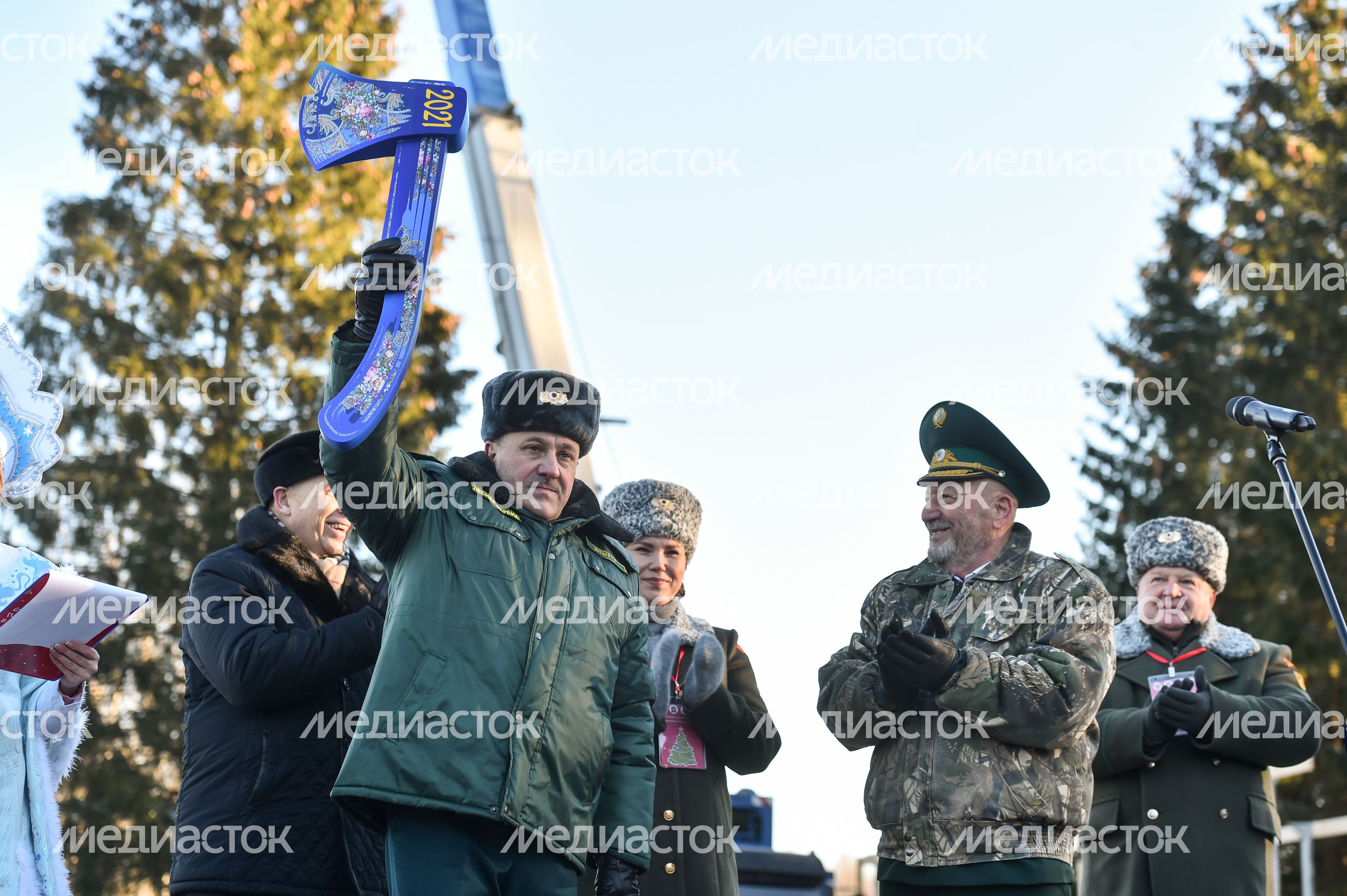 Сруб главной новогодней ели страны в Наро-Фоминском округе Подмосковья