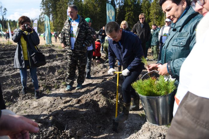 Ежегодная экологическая акция «Наш лес. Посади свое дерево» в Одинцовском городском округе