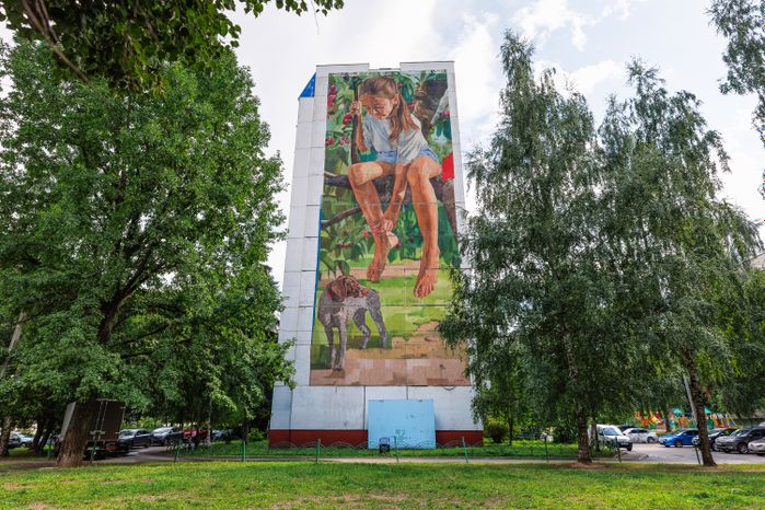 Муралы в Железнодорожном, Балашиха