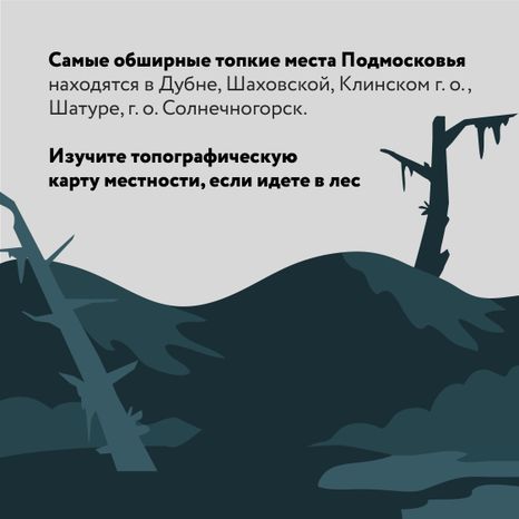 Болото-Квадрат-03.jpg