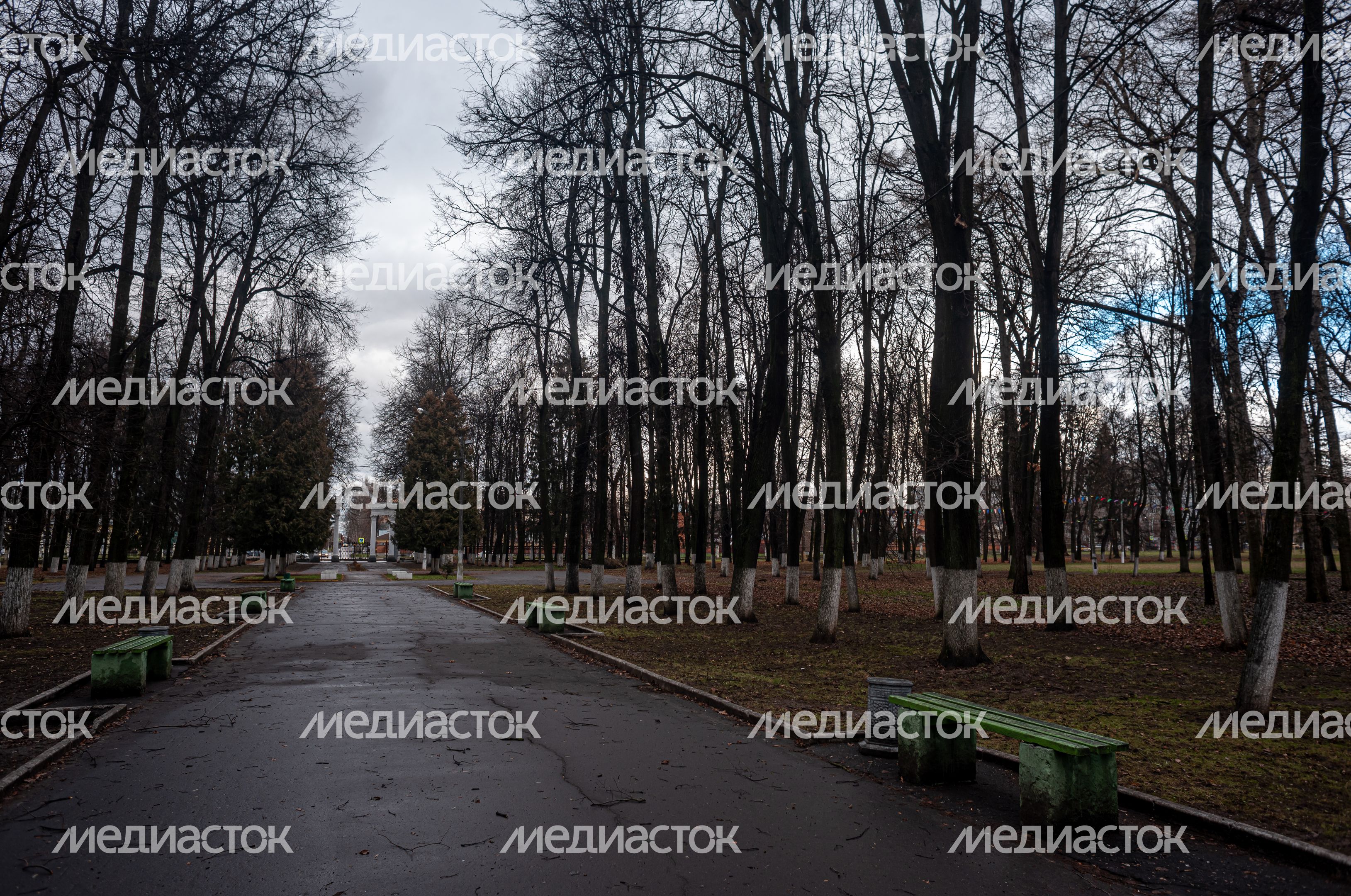 Осенние виды Парка Мира в Коломне