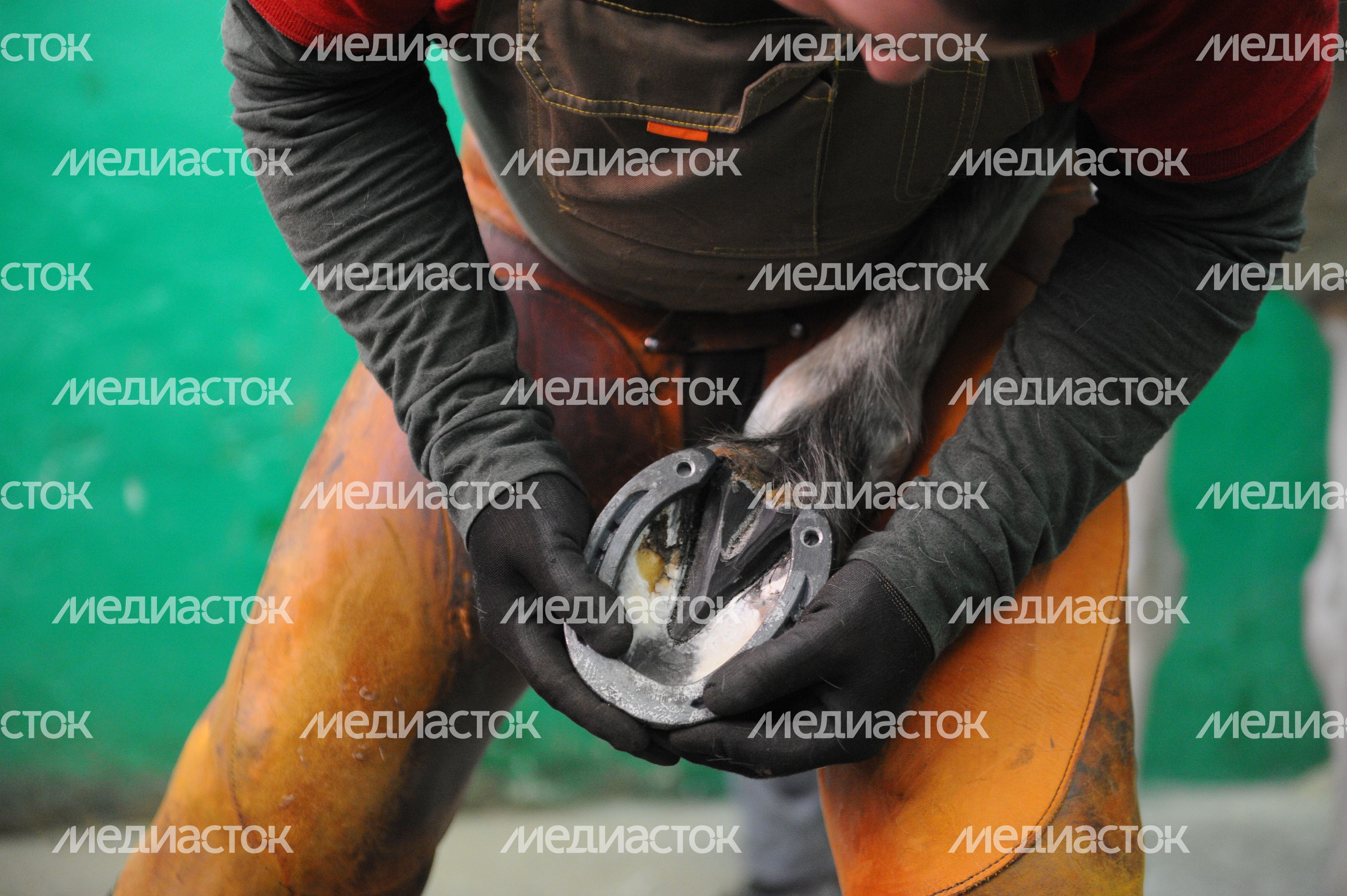Конная полиция Москвы