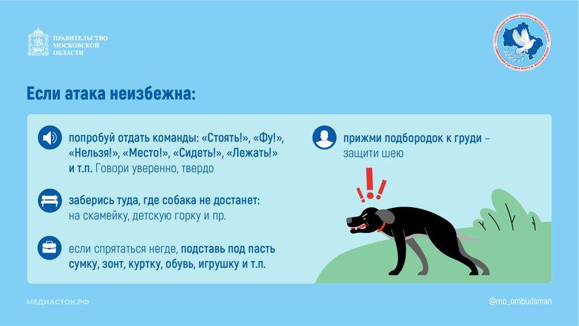 Осторожно злая собака горизонталь 06
