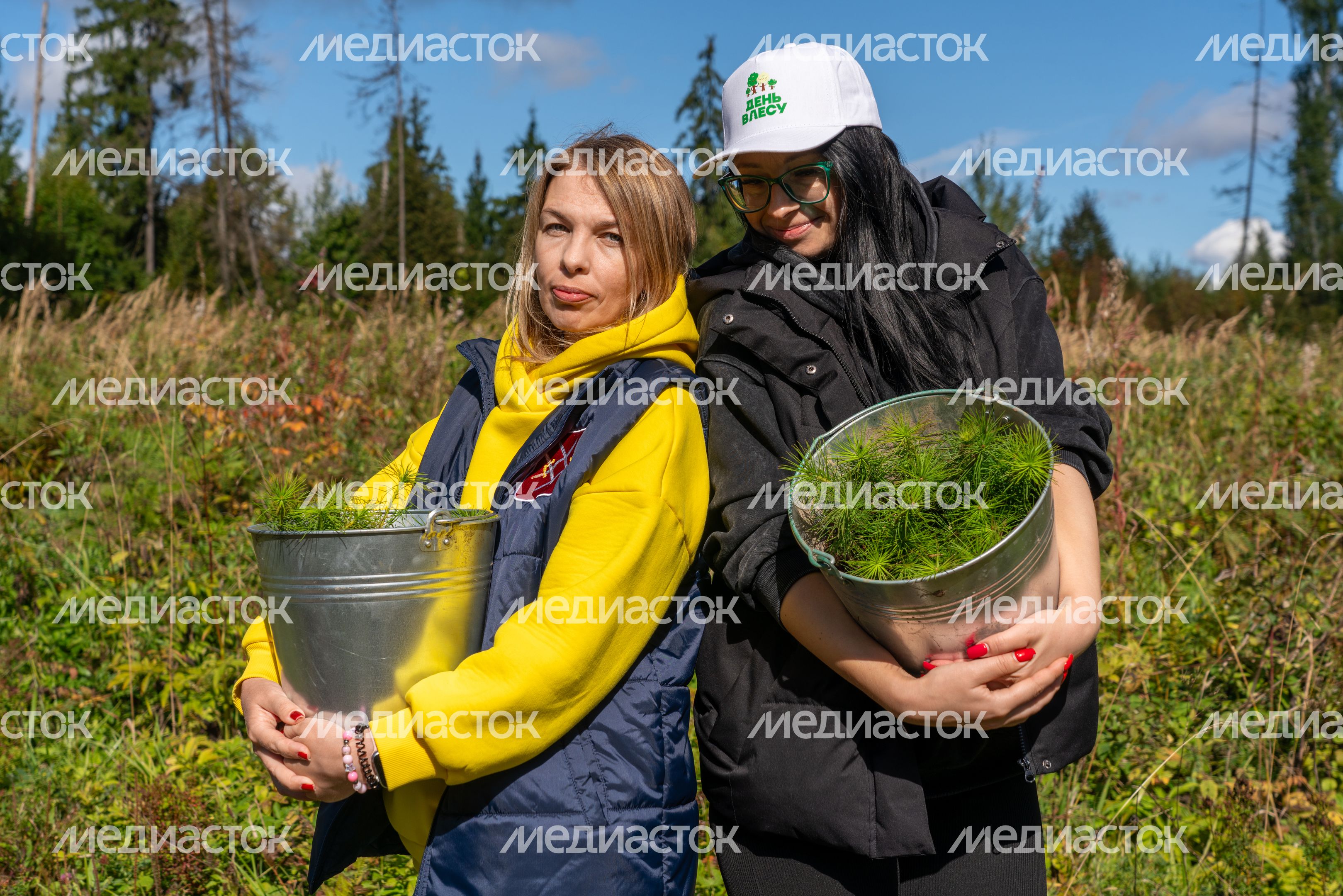 Саженцы сосны и ели высадили на экологической акции «Сохраним лес» в Рузском округе Саженцы сосны и ели высадили на экологической акции «Сохраним лес» в Рузском округе