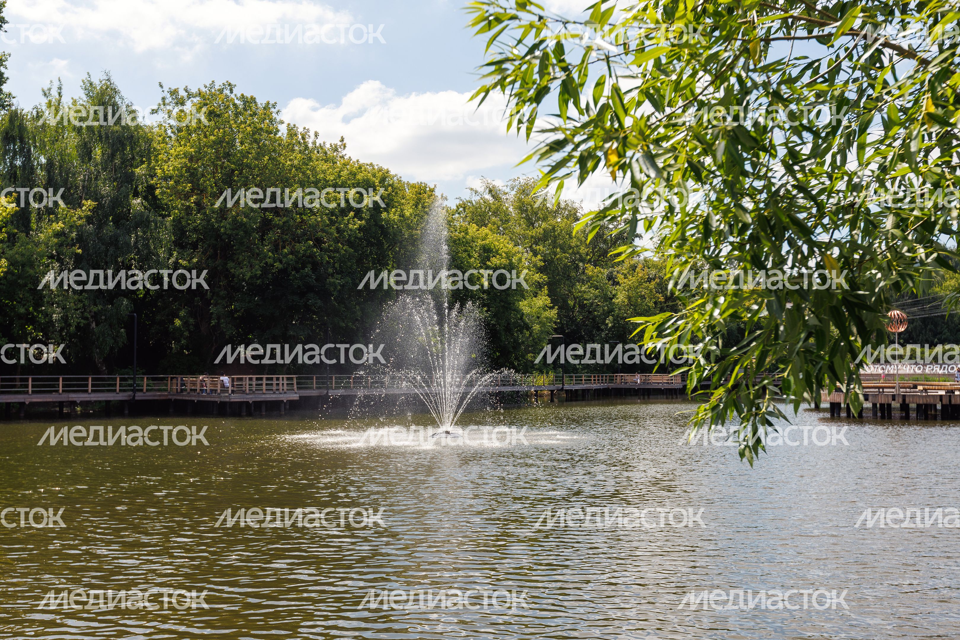 Благоустройство Малого Тарычевского пруда летом в Видном Ленинского округа Благоустройство Малого Тарычевского пруда летом в Видном Ленинского округа