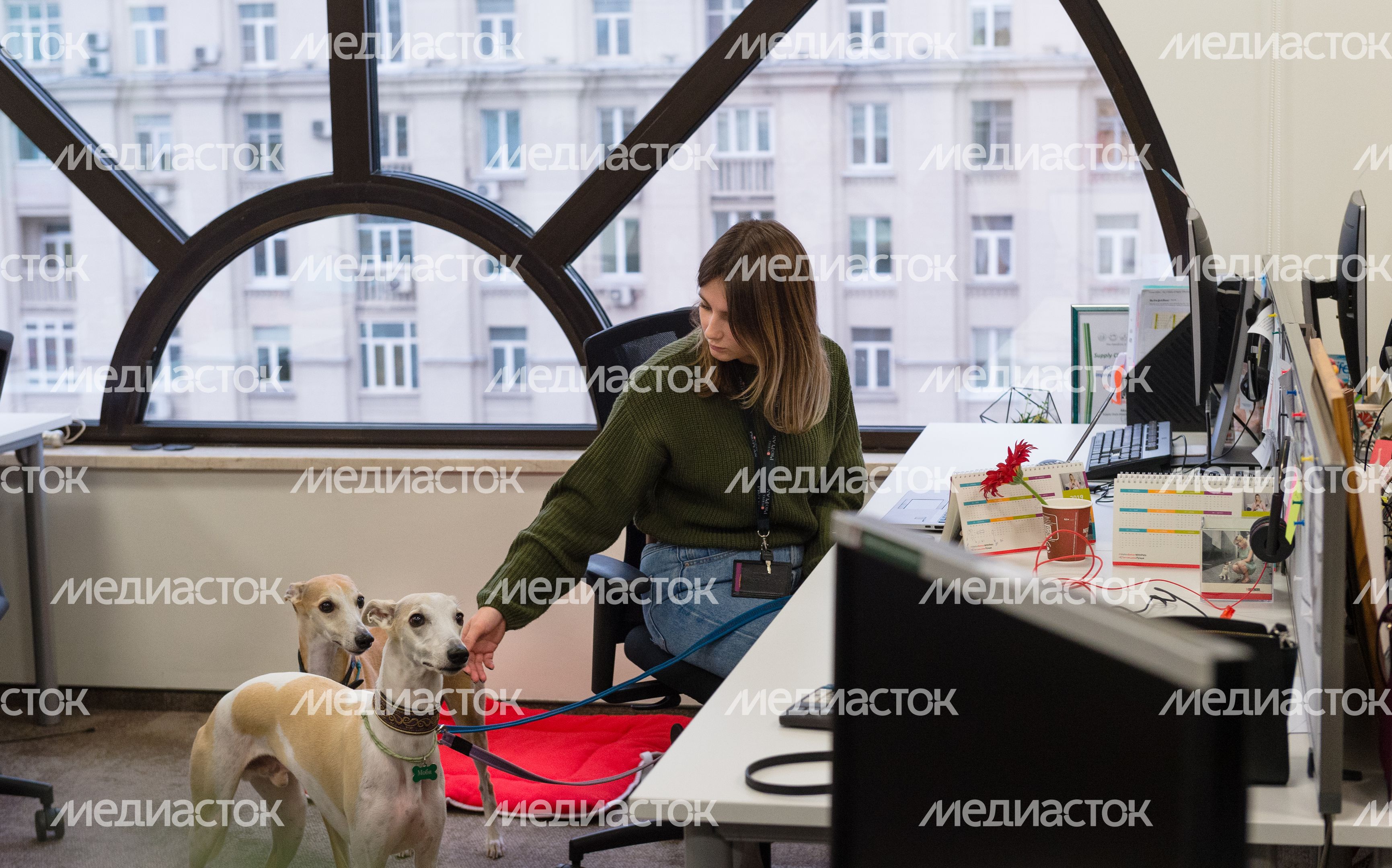 Pet‑friendly офис Purina