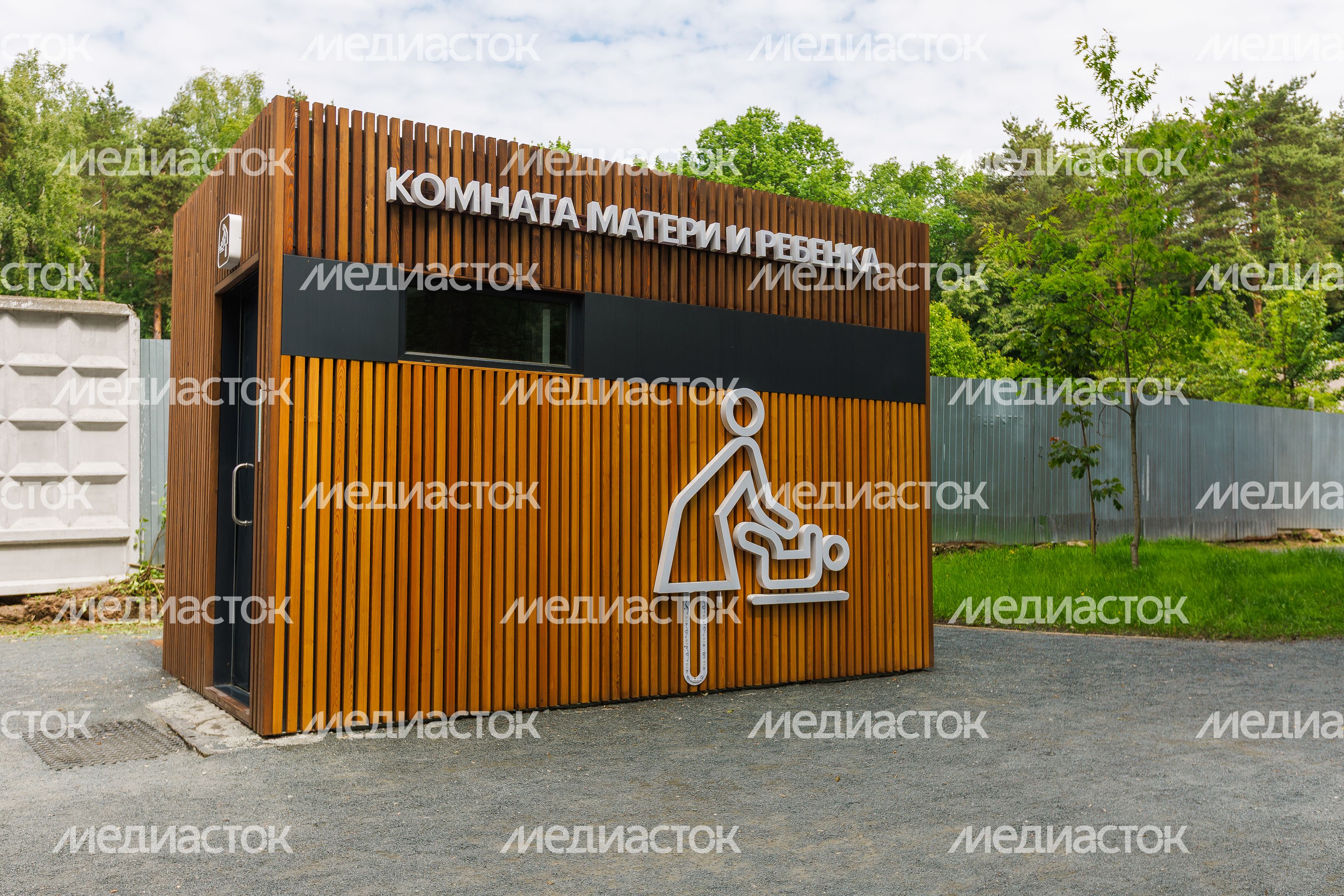 Лето в лесопарке «Чемпион» города Дзержинский округа Люберцы