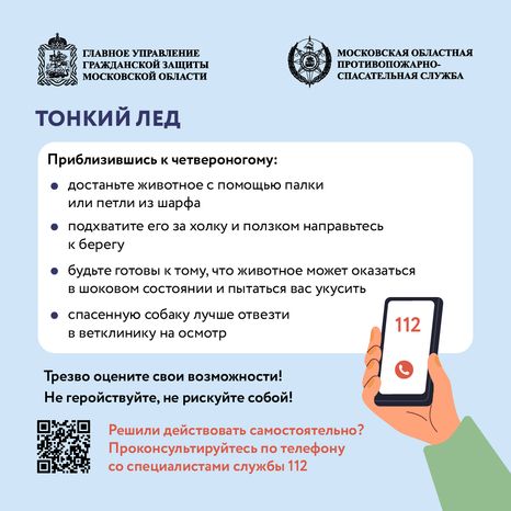 Помощь усатым - квадрат-06