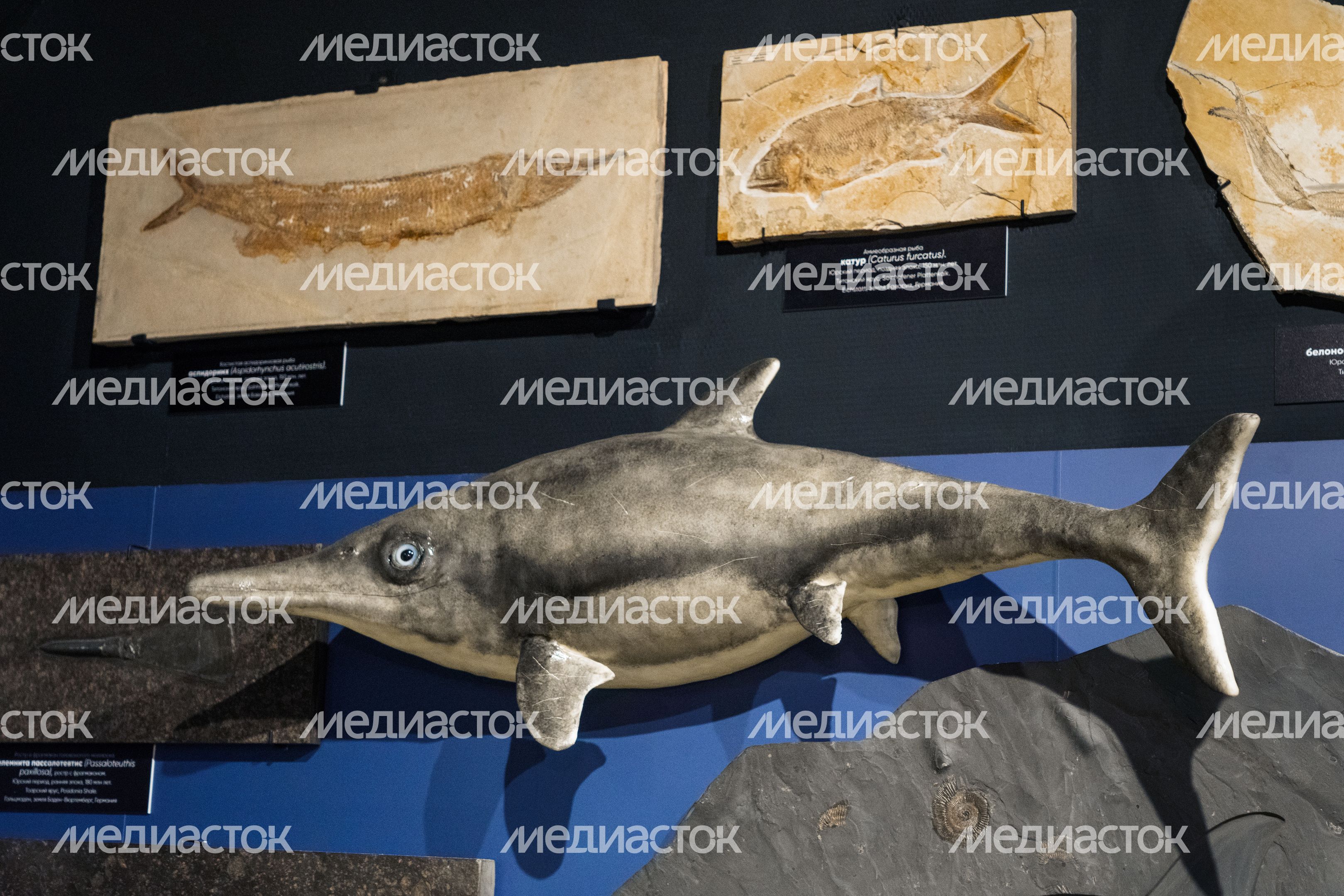 Музей истории мироздания в Истре Музей истории мироздания в Истре