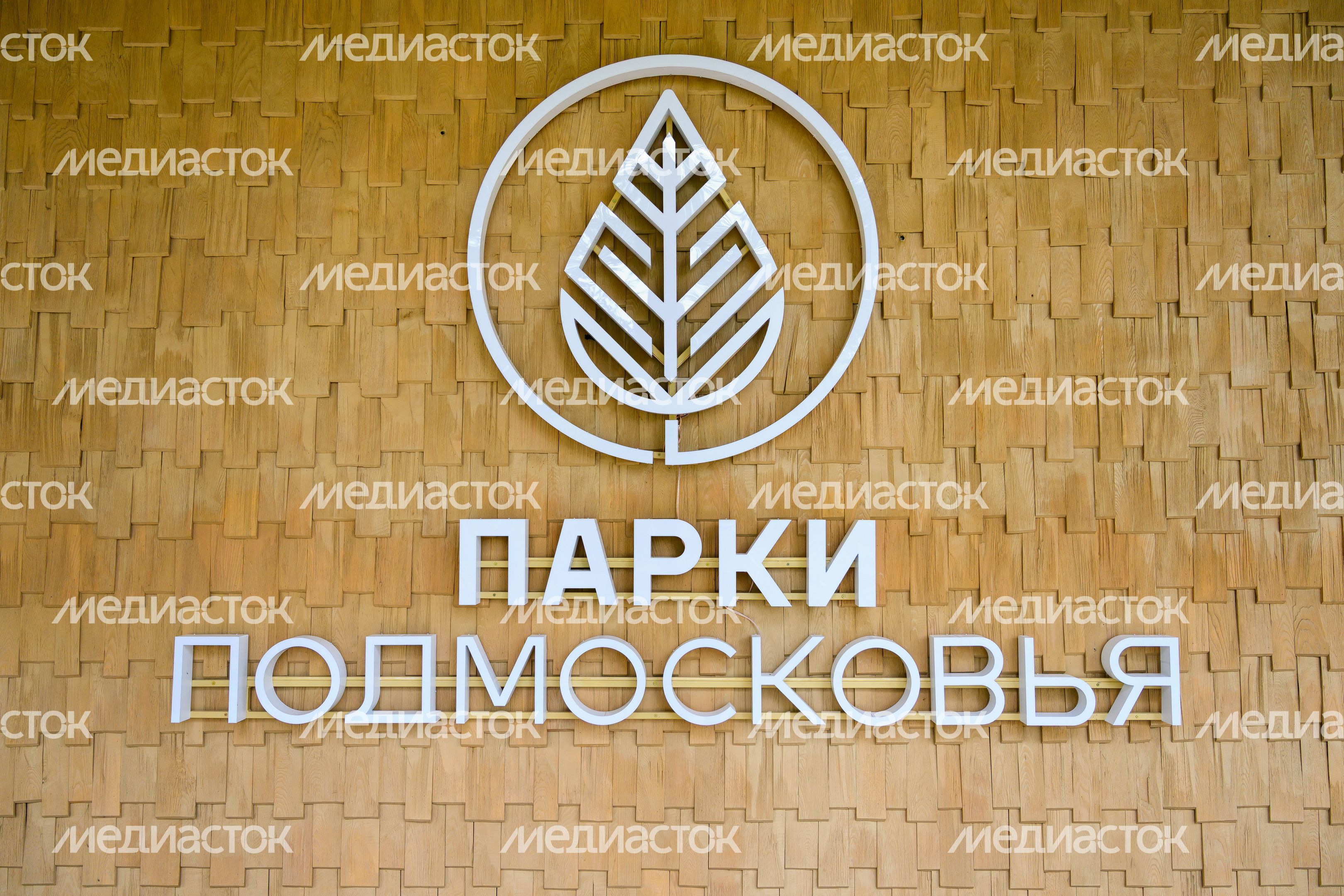 Лесопарк «Волхонка» осенью в Ногинске Богородского округа Лесопарк «Волхонка» осенью в Ногинске Богородского округа