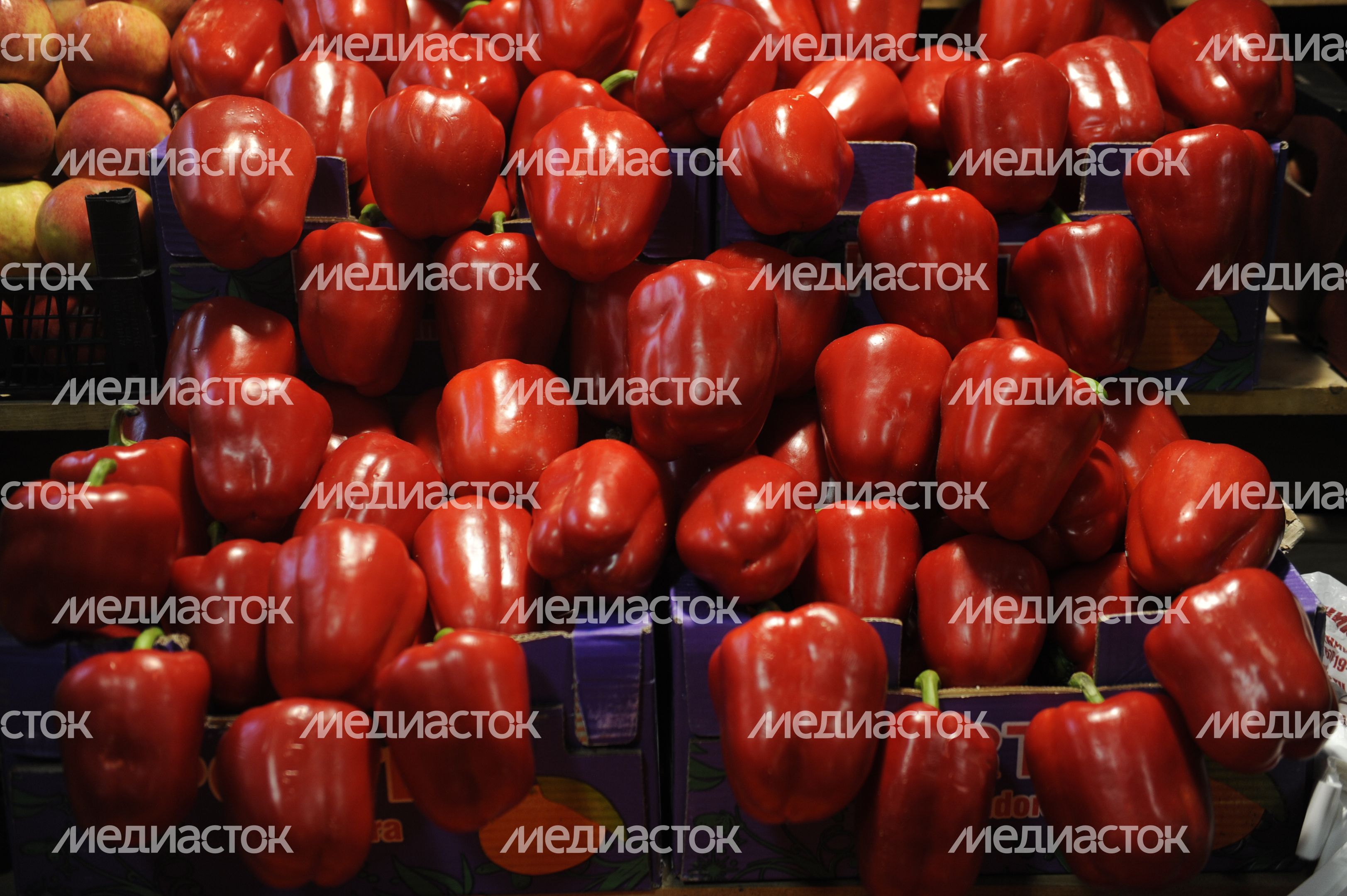 Открытие Москворецкого рынка в Москве Открытие Москворецкого рынка в Москве