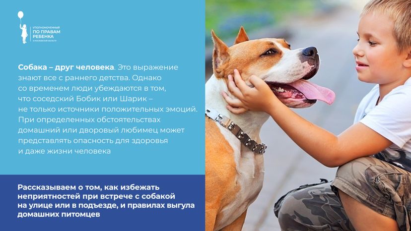 уппр_осторожно_собака_горизонталь_2.jpg