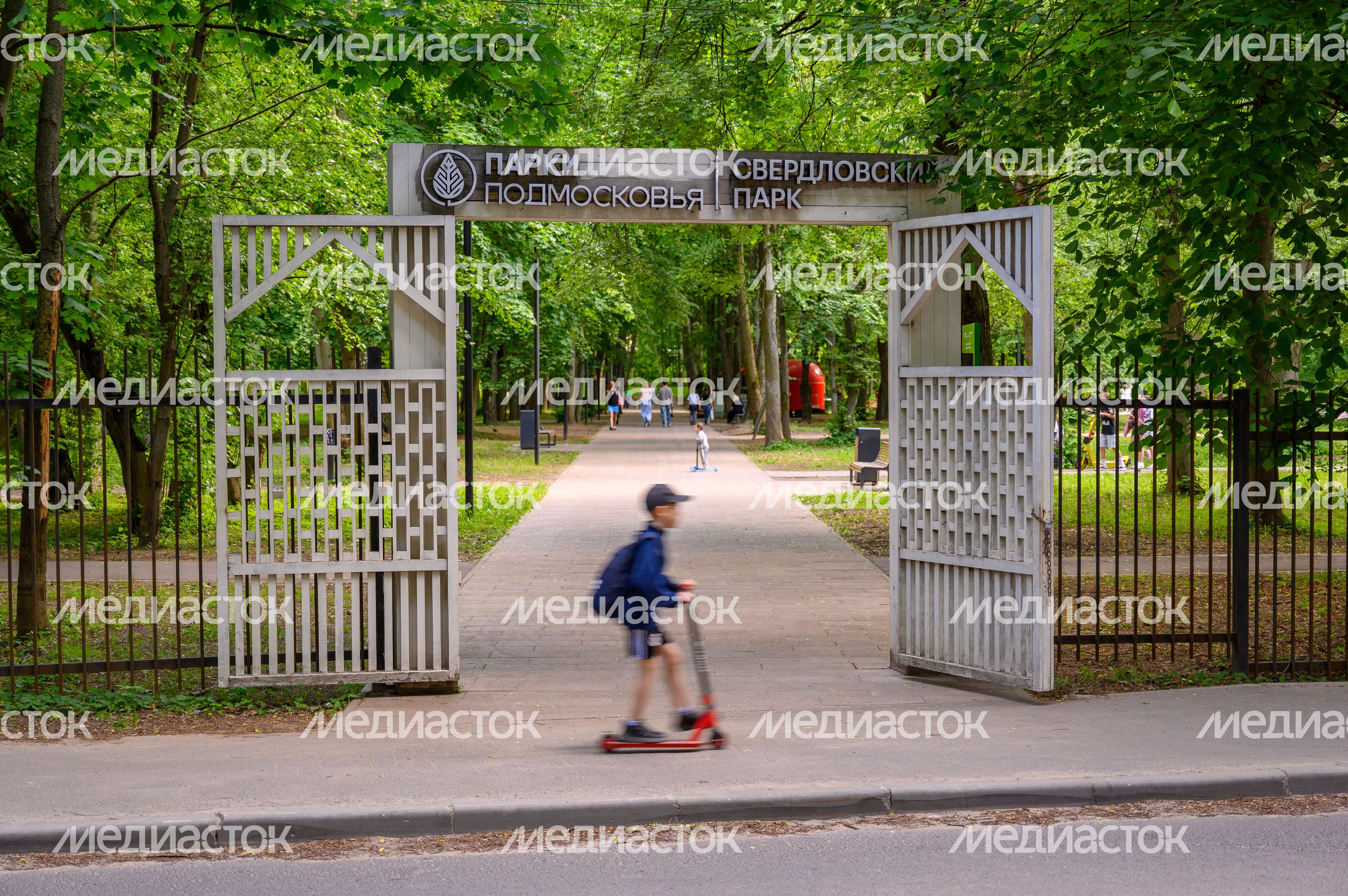 Лето в парке культуры и отдыха «Свердловский» в поселке Свердловский округа Лосино-Петровский Лето в парке культуры и отдыха «Свердловский» в поселке Свердловский округа Лосино-Петровский