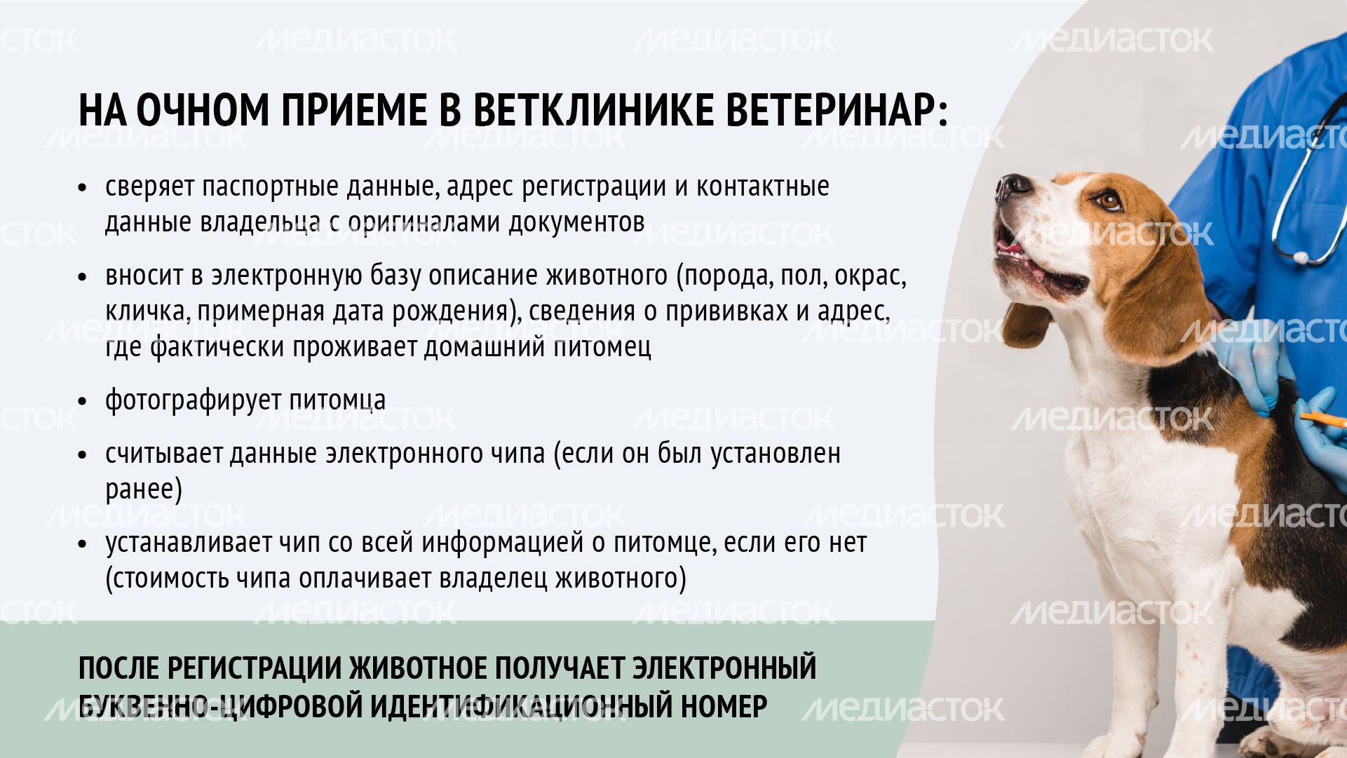 Горизонталь_ зарегистрировать домашнее животное_07-100.jpg