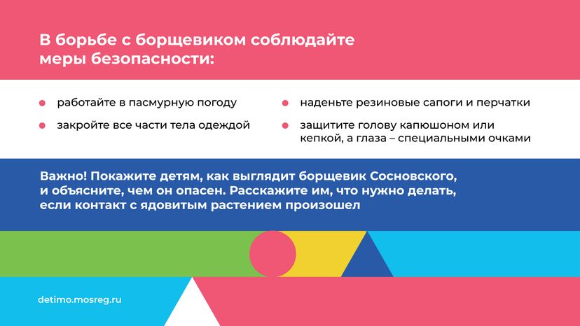 Горизонталь_Борщевик Сосновского_10.png