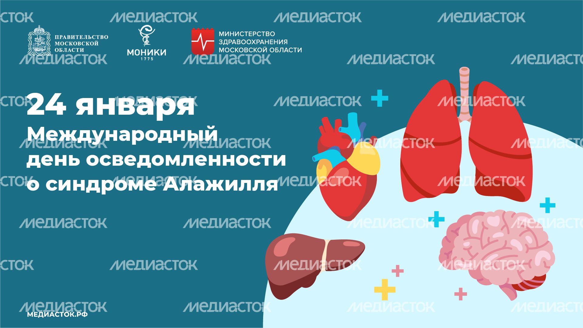 24 января горизонталь 24 января горизонталь