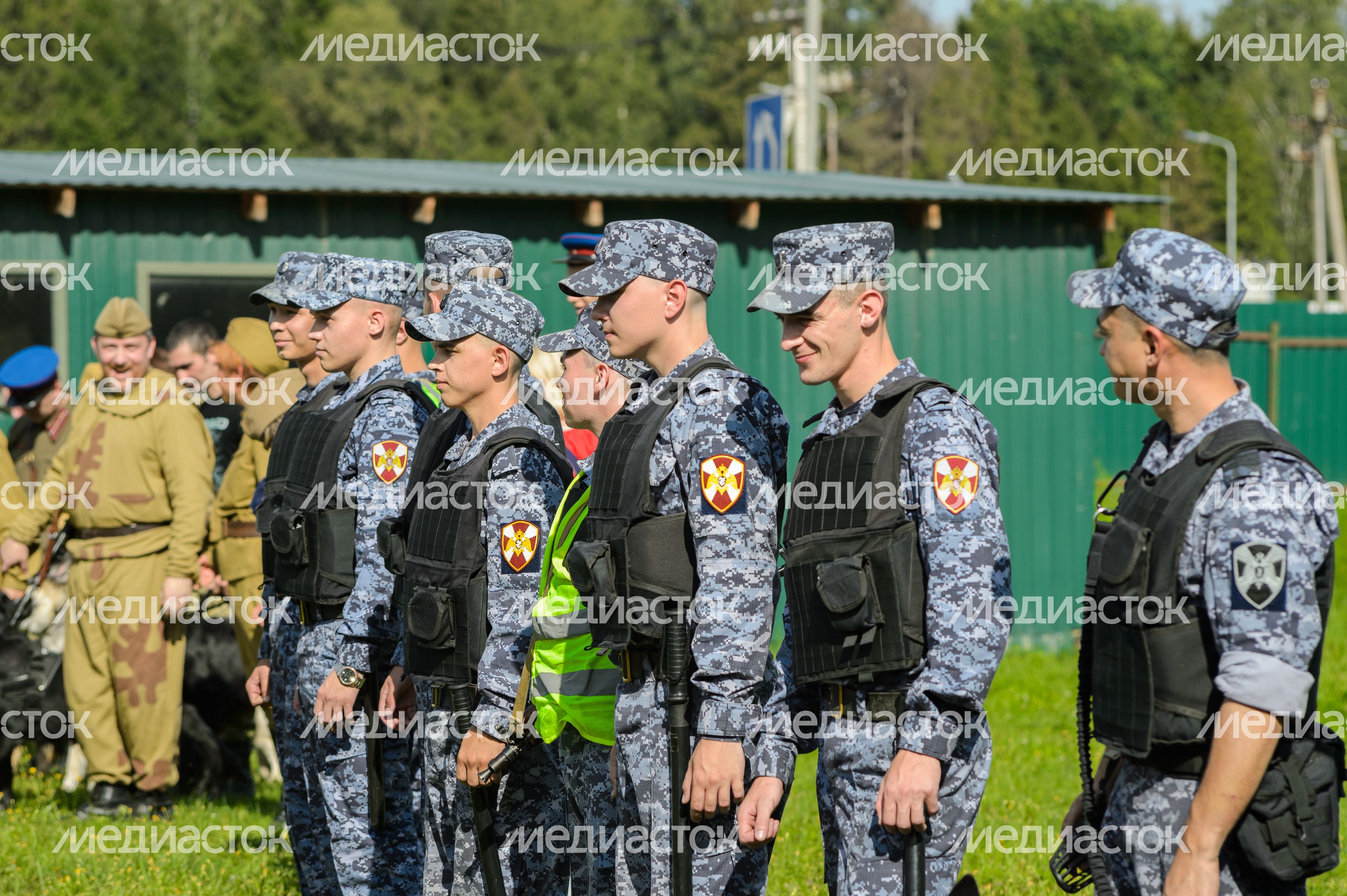 Мытищи. Шолохово. Военно-патриотический фестиваль Фронтовая собака Мытищи. Шолохово. Военно-патриотический фестиваль Фронтовая собака