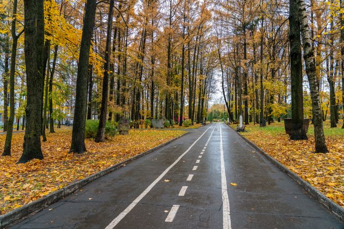 Городской парк культуры и отдыха Солнечногорска осенью