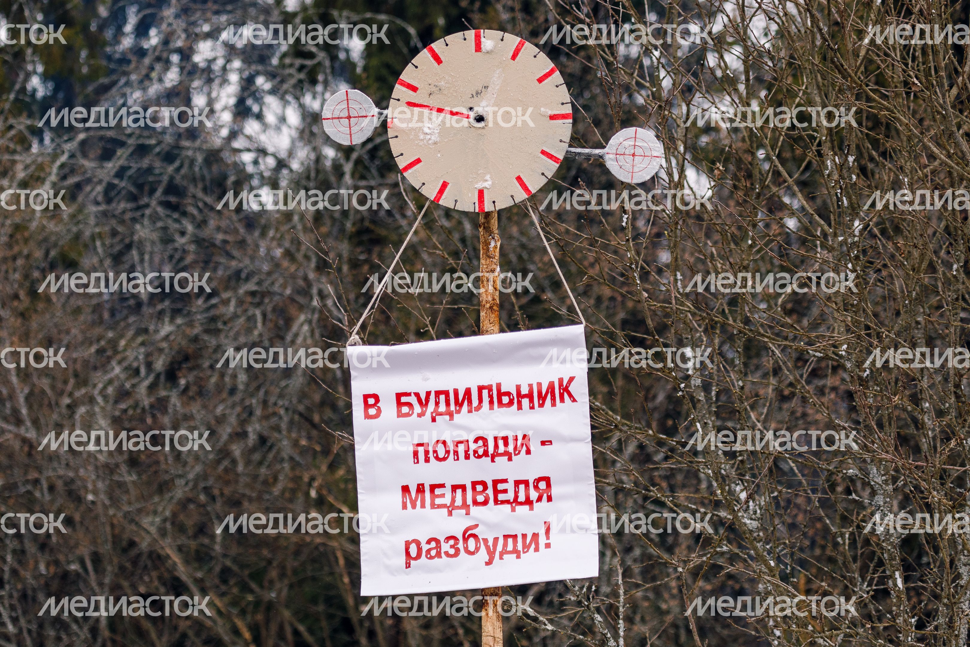 Фольклорный праздник «Бакшевская Масляница» в Пушкинском округе Фольклорный праздник «Бакшевская Масляница» в Пушкинском округе