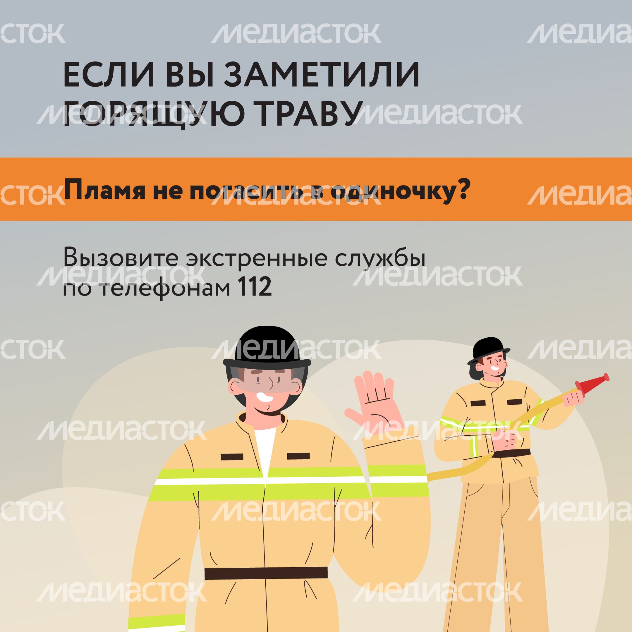 Пал травы-17.jpg