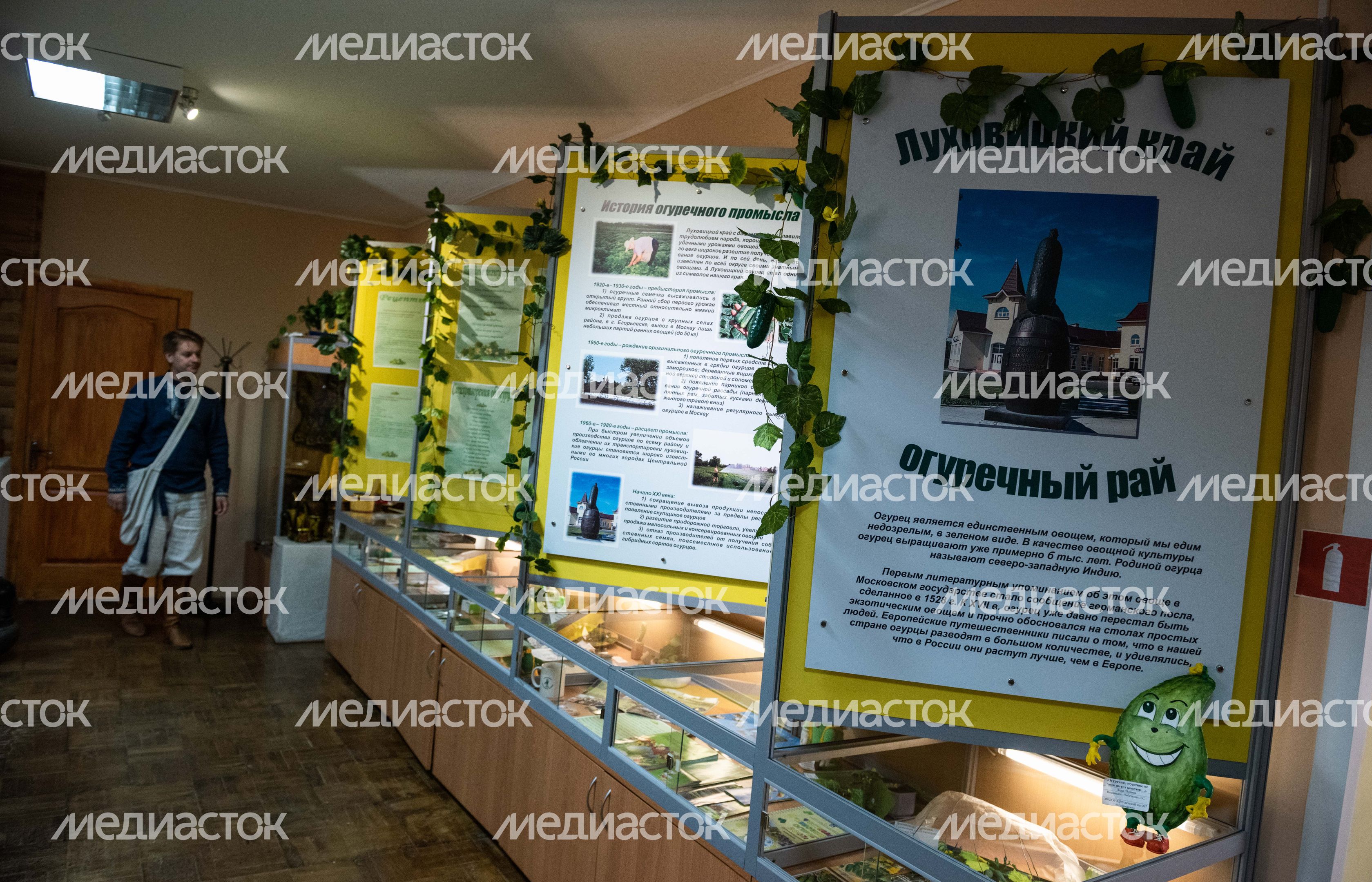 Виды города Луховицы
