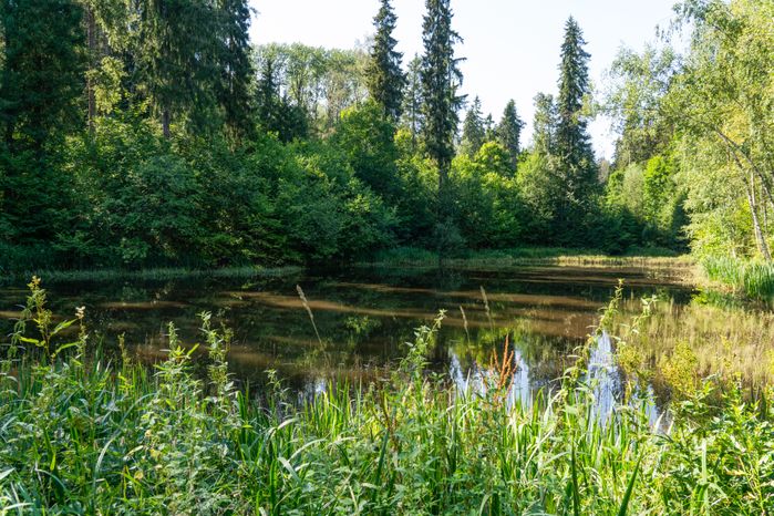 Солнечногорск. Усадьба Шахматово