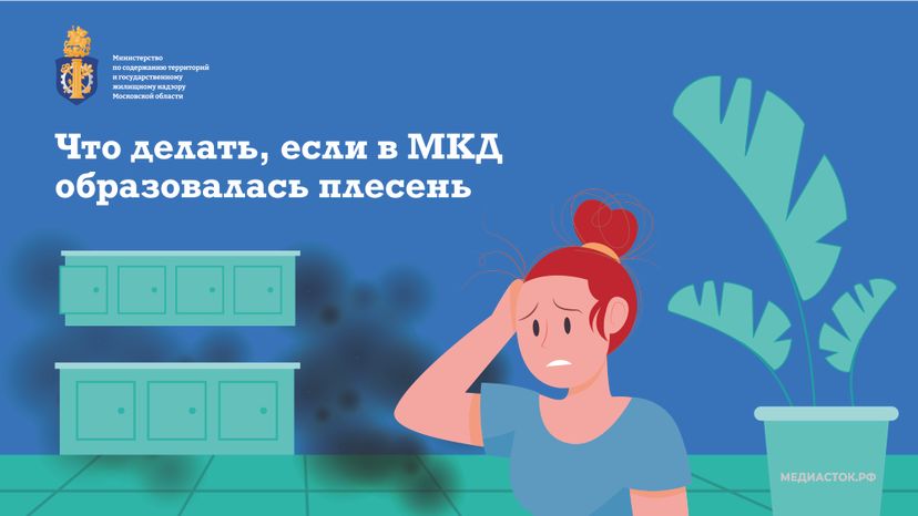 Плесень горизонталь 01