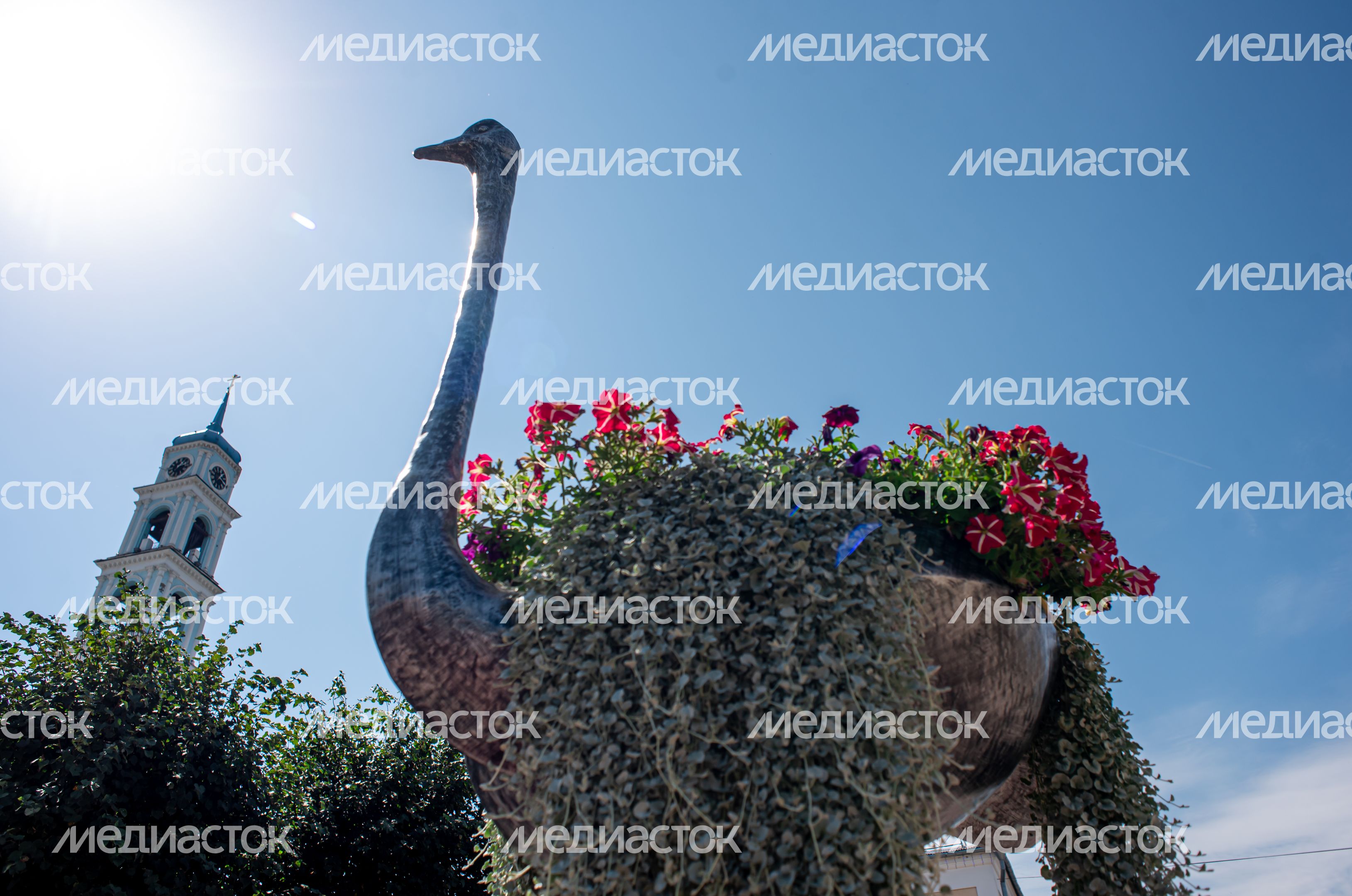 Летние виды города Кашира