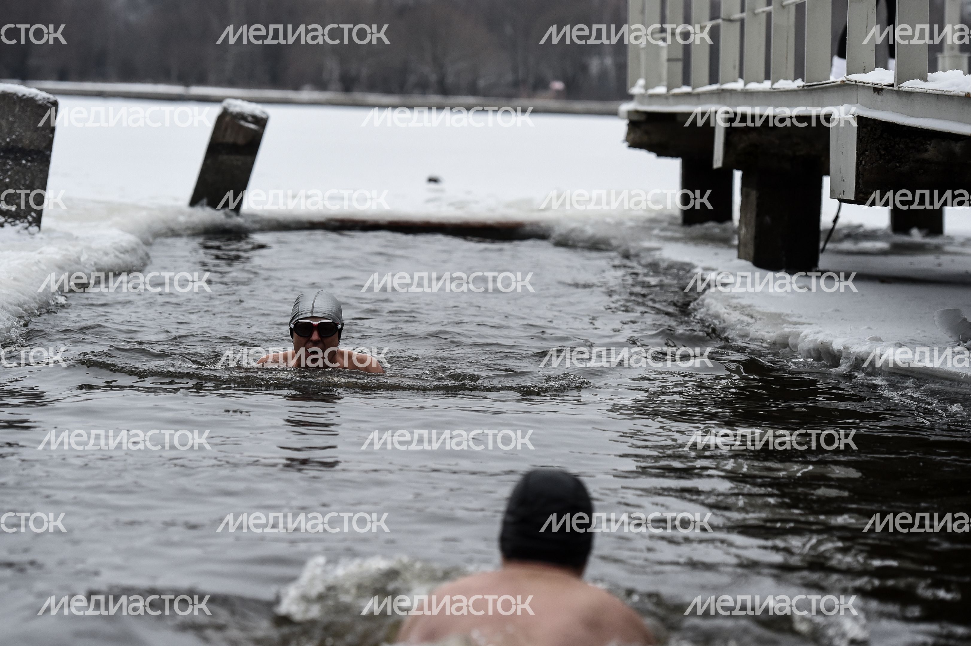 Купание моржей в Долгопрудном