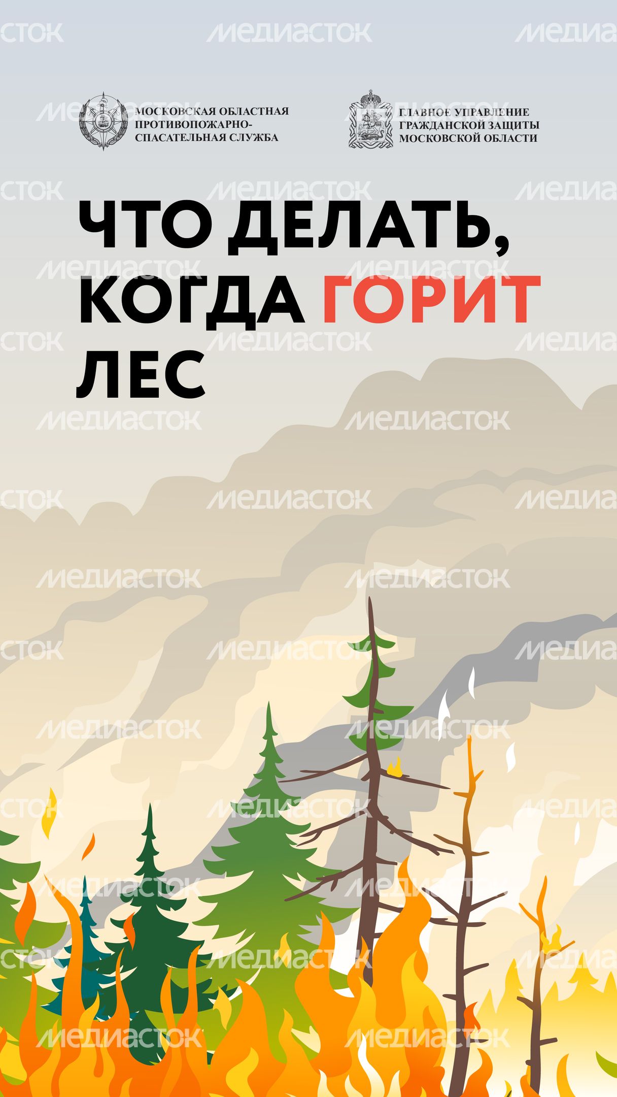 Лесные пожары-01.jpg