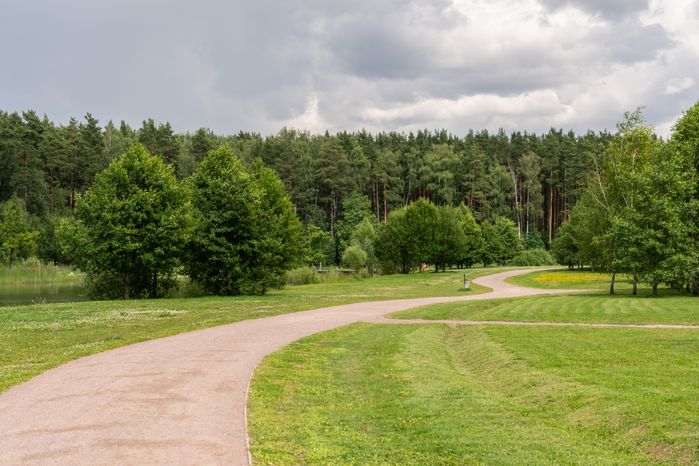 Мещерский парк летом