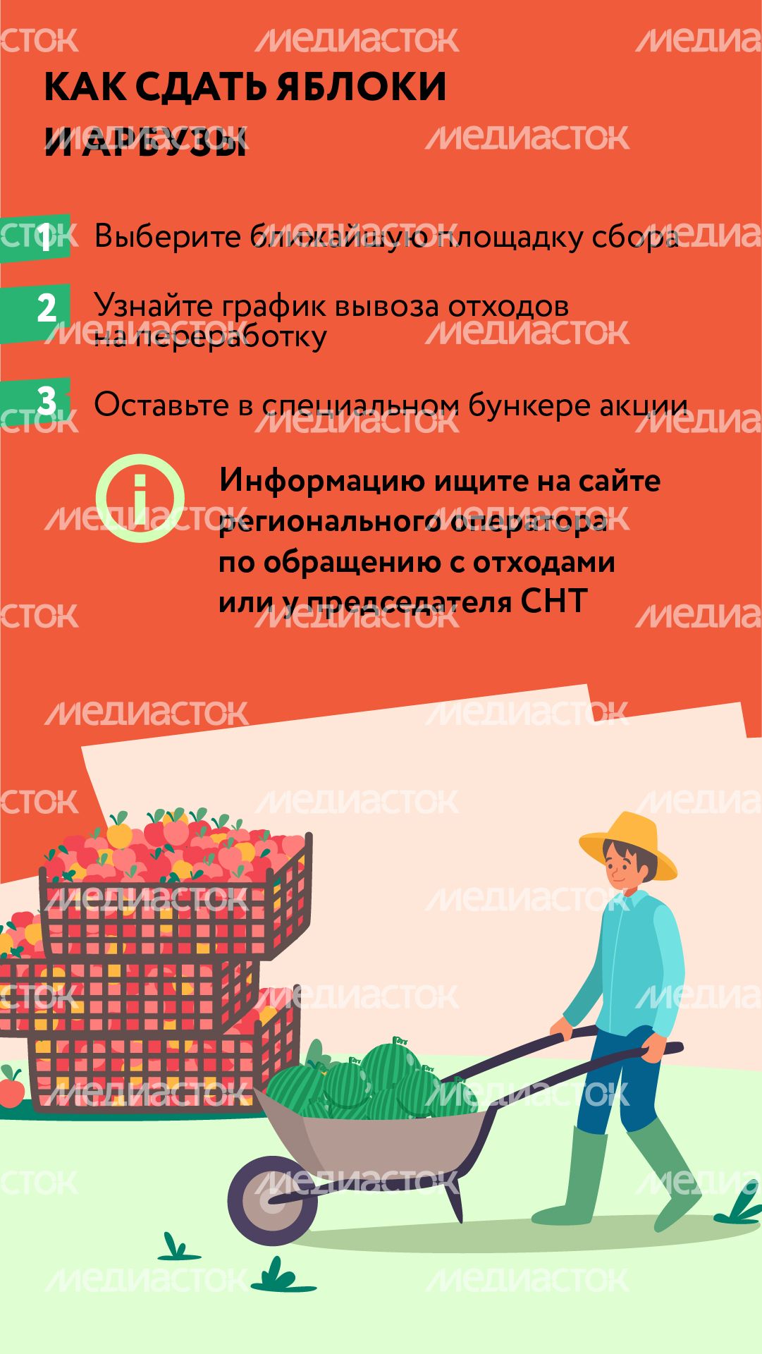 Вертикаль_арбузы_03-100.jpg