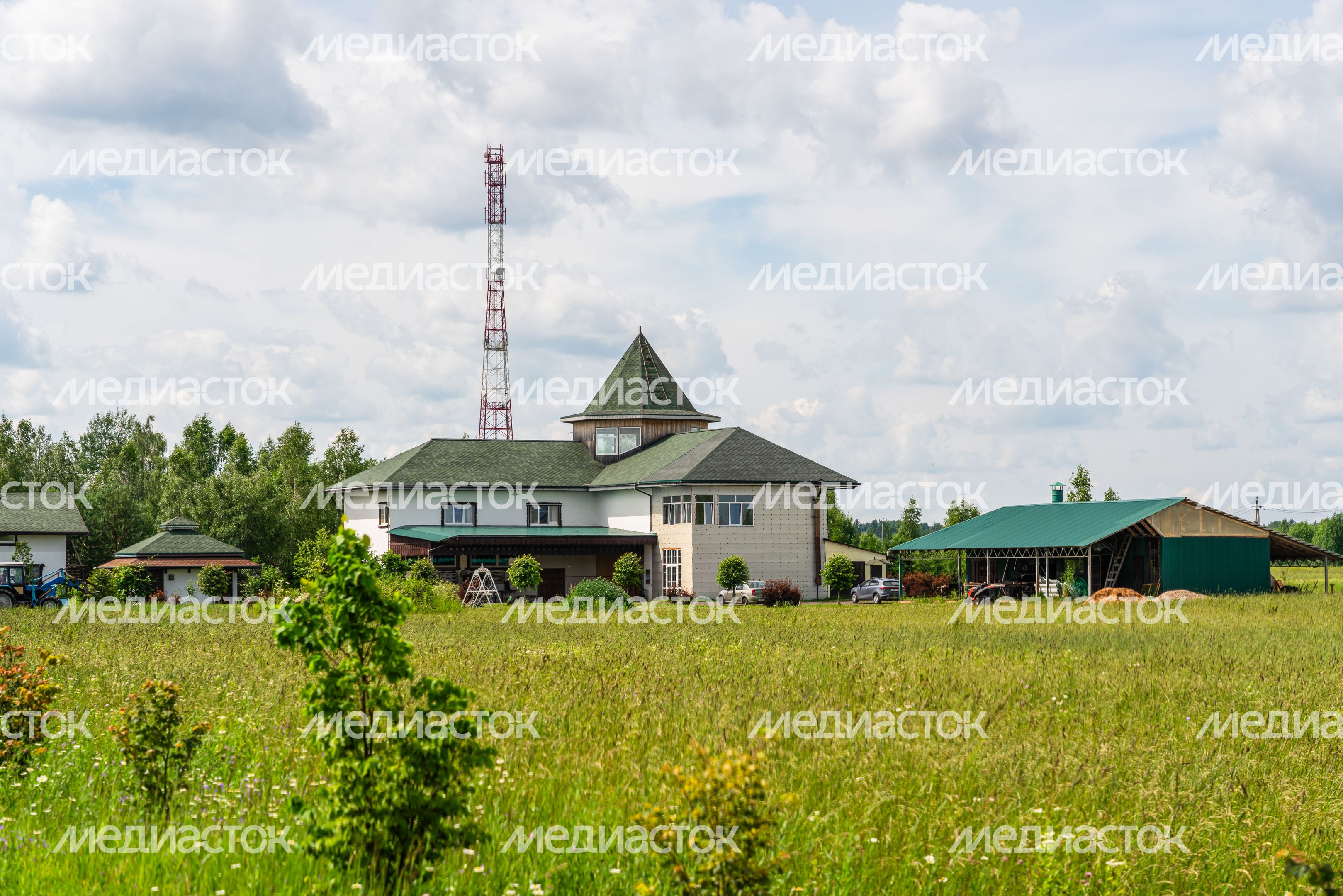 Экоферма «Елизарово» в округе Шаховская
