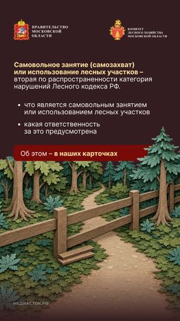 Самовольный захват и использование лесных участков вертикаль 02